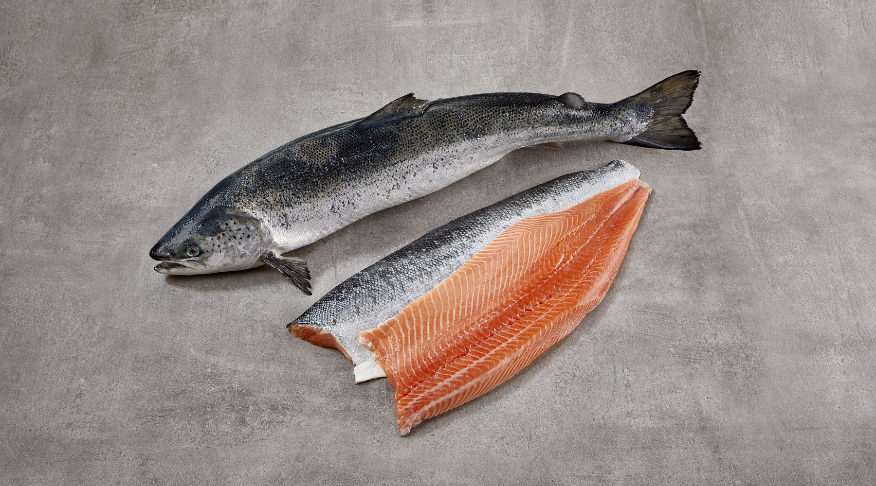 Zalm, vis van de maand maart